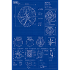 Tomato Blueprint Diagram