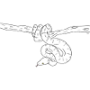 Snake (b&w)