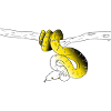 Serpent Jaune