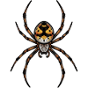 small spider