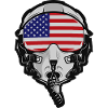 US Pilot Helmet with American Flag