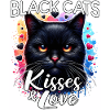 Amour du chat noir
