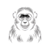 Affe