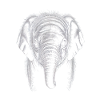 Elephant Head