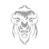 Gray bison head