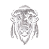 Buffalo Head Illustration