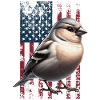 Society Finch US Japanese Seagull