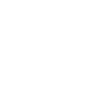 Irish Setter "Black Edition"
