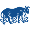 Celtic Bull