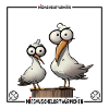 Team Möweduo