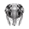 Elefantenkopf Elefant