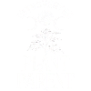 Introverted Plant Parent