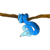 Serpent Bleu
