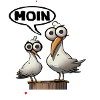 Möwe moin Miesmuschelartwuermchen Möwen lustig