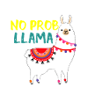 Test Day No Prob Llama