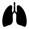 Lungs