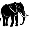 Elefant