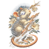 Farbratte Fancy Rat Großmaus Hausratte