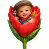 Bébé dans Tulip Bud