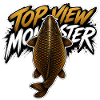 Vogelperspektive Monsterkarpfen – Kräftiges Angeldesign