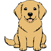 Cadeau de chien Goldenretriever Bébé Chiot