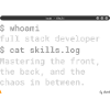 Full Stack Developer Terminal Design