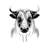 Bull Taurus