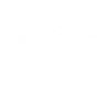 Symbole épineux (blanc)