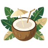 Refroidisseur de l’île Coconut