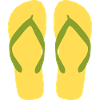 Sunny Yellow Flipflops