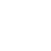 Agent de sécurité publique