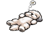 Feeling Dog Tired Havanese Havanese Lovers