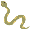 Illustration de serpent à motif olive