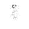 Introverted Plant Parent Moon & Plant