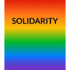 Solidarity Rainbow LGBT Ally Pride allyship