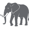 Elefant