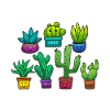 Succulent Whisperer