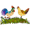 Coq et poule