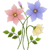 Fleur