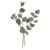 Eucalyptus à l’Aquarelle