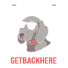 Great Dane