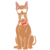 Dogue allemand