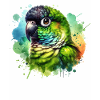 Nandays' parakeet motif