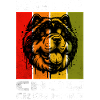 Chow Chow Chowchow