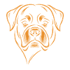 Chien Rottweiler