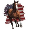 Drapeau des États-Unis de cheval