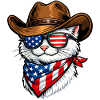 Cat Cowboy USA