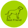 Best Friend Dog Motif Lime