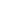 Irish Setter "Black Edition"