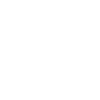 Havanese "Black Edition"